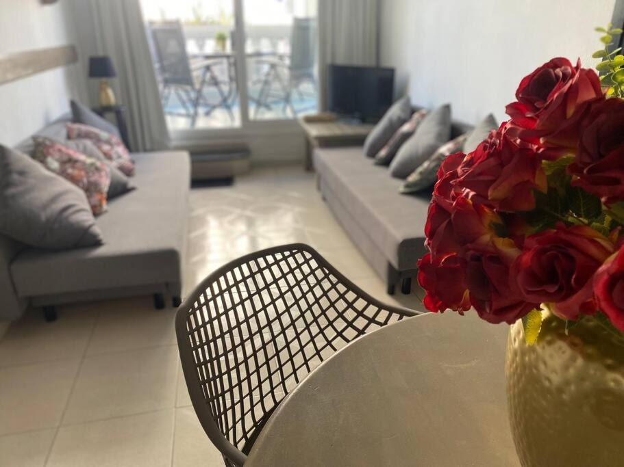 Apartamento Europa Con Terraza Blanes Dış mekan fotoğraf